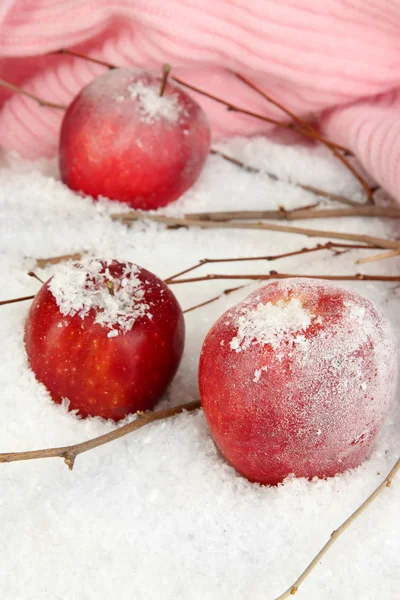 Karda kırmızı elmalar yakın çekim — Stok fotoğraf