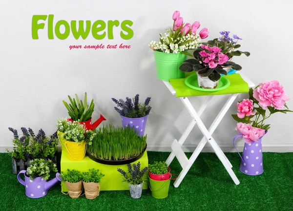 Color crate and table with decorative elements and flowers standing on grass