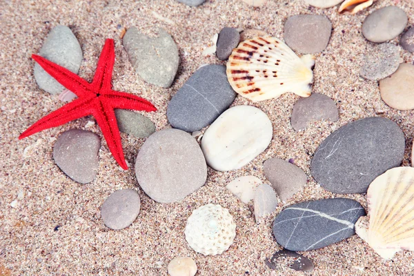 Pedras marinhas no fundo de areia — Fotografia de Stock