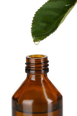 yaprak üzerine beyaz izole dan düşen damla