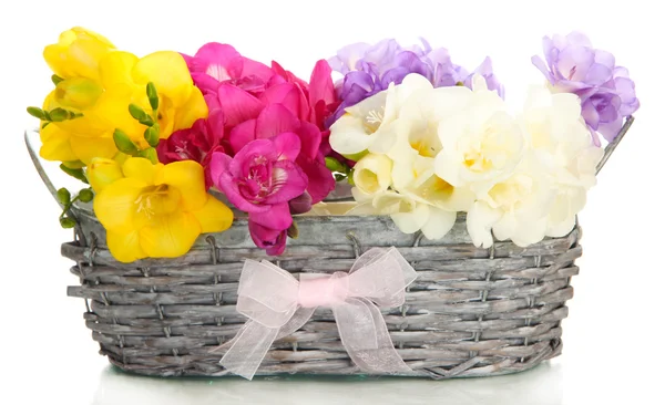 Beautiful bouquet of freesias in basket, isolated on white — Stock Photo, Image