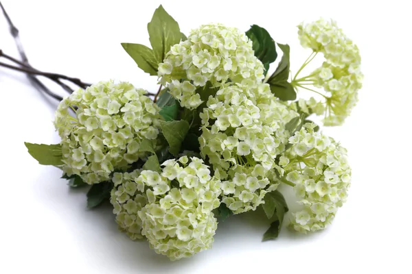 Bukiet pięknych kwiatów sztucznych, na białym tle — Zdjęcie stockowe