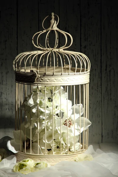 美しい花の美しい装飾ケージ — ストック写真
