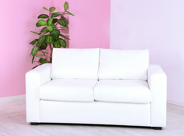 Bílá pohovka v pokoji na pozadí růžové zdi — Stock fotografie