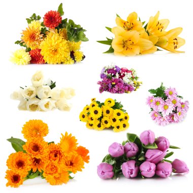 Beyaz izole çiçek buketleri