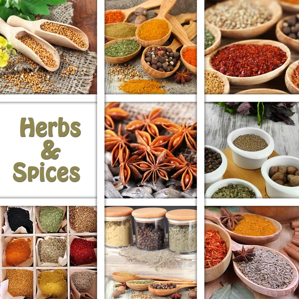 Collage av örter och kryddor — Stockfoto