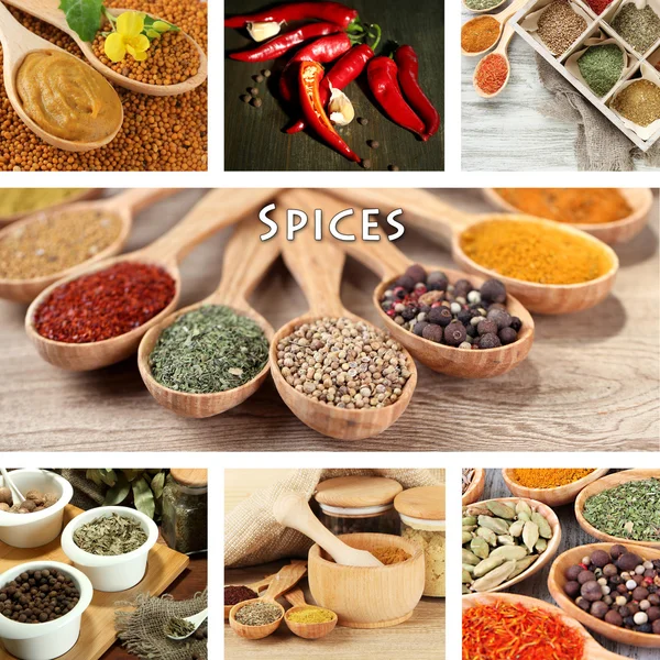 Collage av olika kryddor — Stockfoto