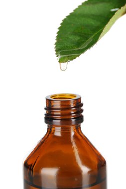 yaprak üzerine beyaz izole dan düşen damla