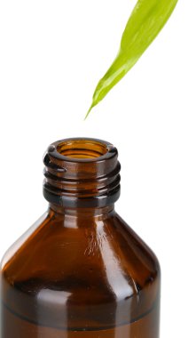 yaprak üzerine beyaz izole dan düşen damla