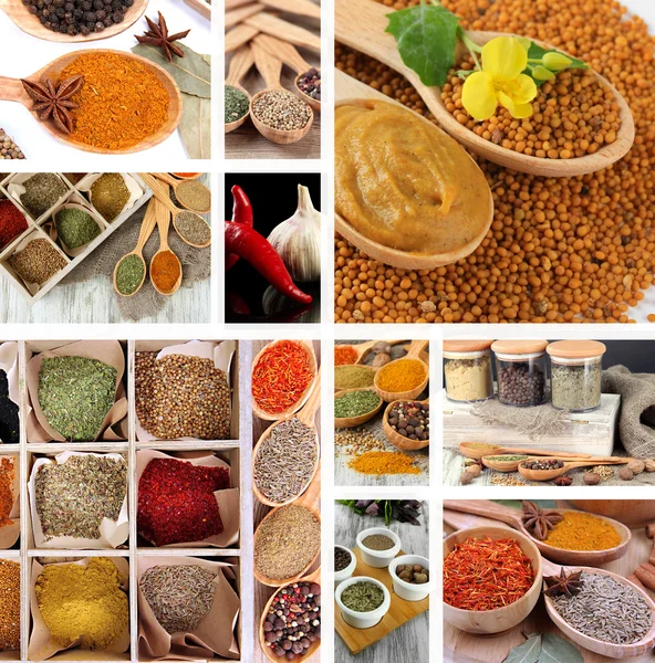 Spices collage — Stock Photo, Image