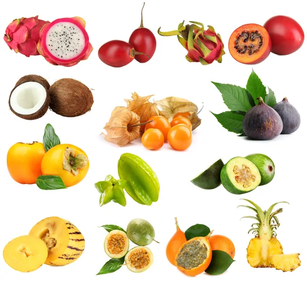 Collage van tropische vruchten geïsoleerd op wit — Stockfoto