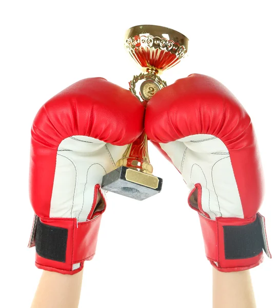 Caja de entrenamiento y saco de boxeo, aislado en blanco — Foto de Stock