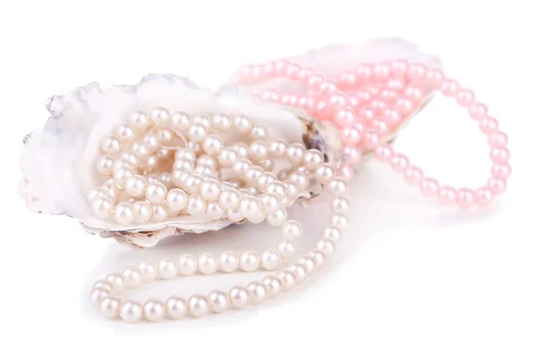 Mušle s perlami, izolované na bílém — Stock fotografie