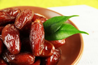 tablo üzerinde plaka üzerinde kurutulmuş tarihleri yakın çekim