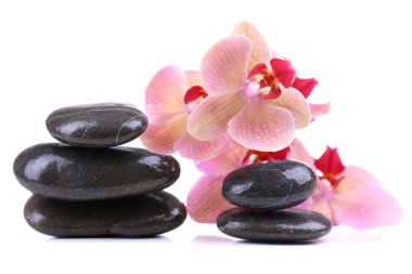 güzel çiçek açan orkide su damlaları ve üzerinde beyaz izole spa taşlar ile kompozisyon