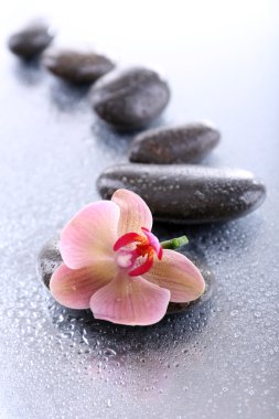 Su damlaları ve spa taşı, açık renkli güzel çiçek açan orkide ile kompozisyon