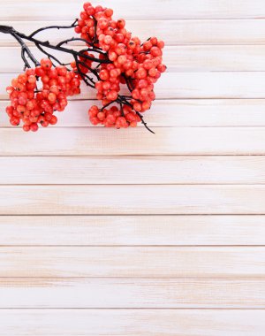 ahşap zemin üzerinde yapay meyveler