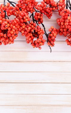 ahşap zemin üzerinde yapay meyveler