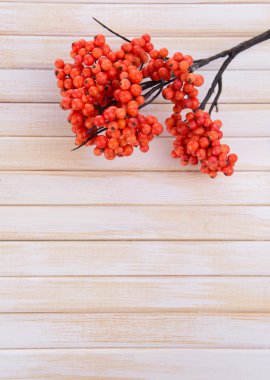 ahşap zemin üzerinde yapay meyveler