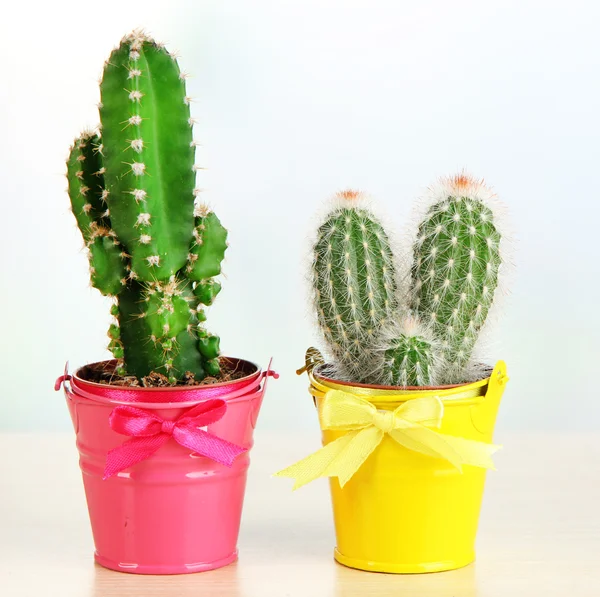 Beautiful cactuses in bright pails on wooden table — Stock Photo, Image