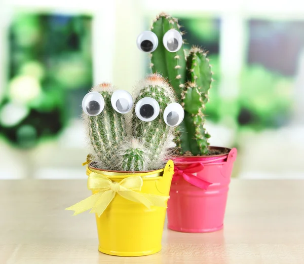 Cactus divertidos con ojos en cubo brillante en alféizar de ventana de madera —  Fotos de Stock