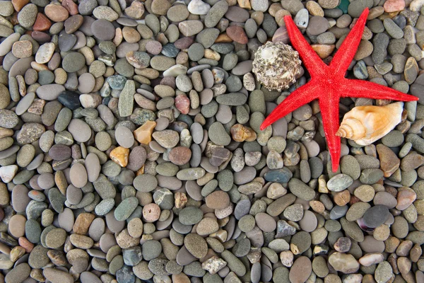 Pequenas pedras marinhas e conchas, de perto — Fotografia de Stock