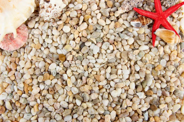 Pequeñas piedras y conchas marinas, de cerca — Foto de Stock