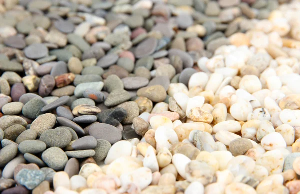 Piedras marinas pequeñas grises y blancas, de cerca —  Fotos de Stock