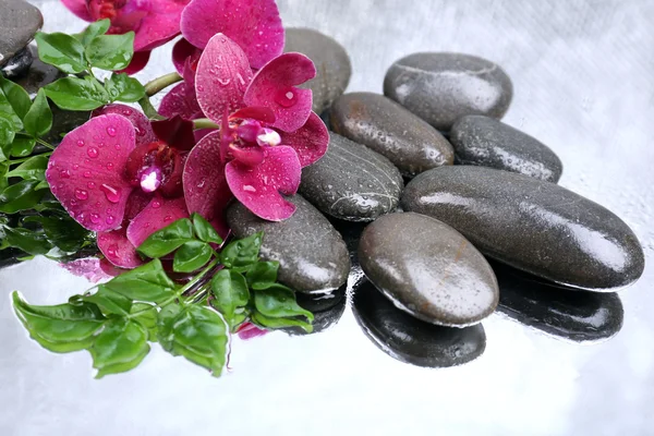 Composición con hermosa orquídea floreciente con gotas de agua y piedras de spa, sobre fondo de color claro — Foto de Stock