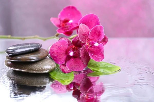 Composizione con bella orchidea fiorita con gocce d'acqua e pietre termali, su sfondo di colore chiaro — Foto Stock