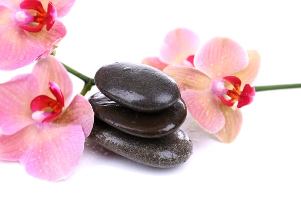 Composición con hermosa orquídea floreciente con gotas de agua y piedras de spa, aisladas en blanco —  Fotos de Stock