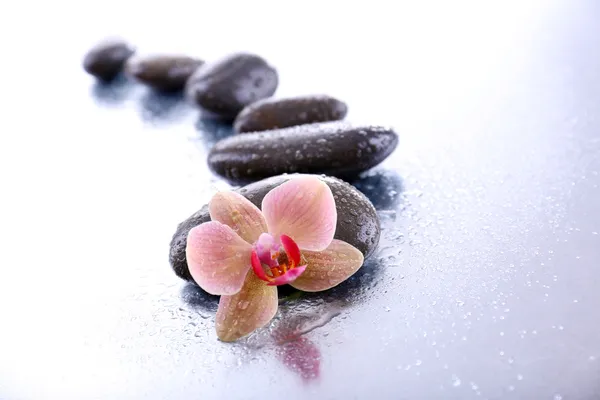 Композиция с красивой цветущей орхидеей с капли воды и спа-камни, на светлом фоне — стоковое фото