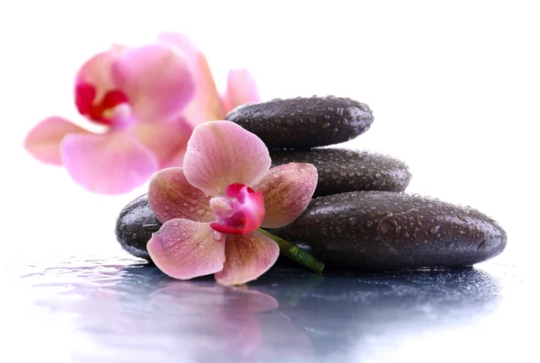 Composición con hermosa orquídea floreciente con gotas de agua y piedras de spa, sobre fondo claro — Foto de Stock