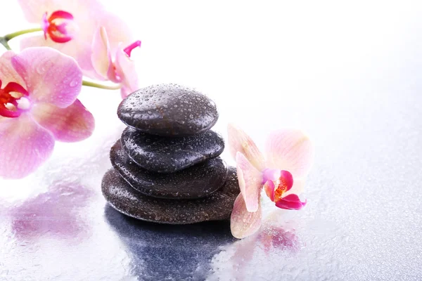 Composición con hermosa orquídea floreciente con gotas de agua y piedras de spa, sobre fondo claro — Foto de Stock