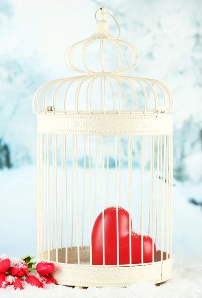 Heart in decorative cage on winter background — Stock Photo, Image