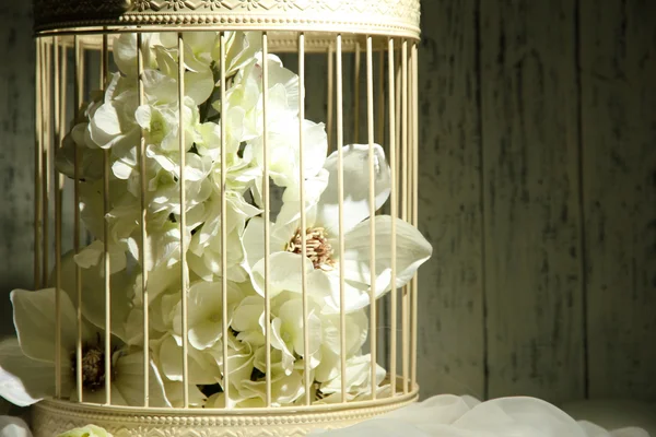 Beautiful decorative cage with beautiful flowers — Stock Photo, Image