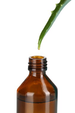 beyaz izole aloe üzerinden düşen damla