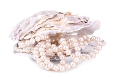 Shell with pearls, isolated on white clipart