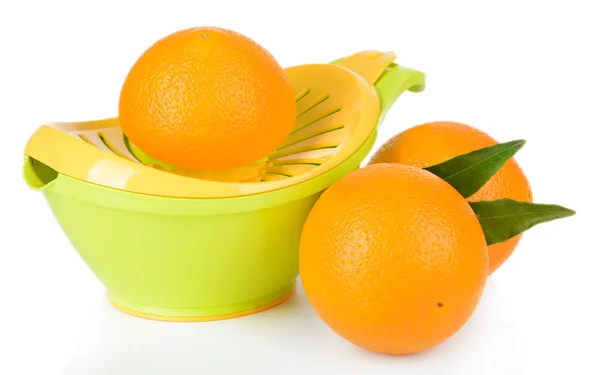 Lis na citrusy a pomeranče izolovaných na bílém — Stock fotografie