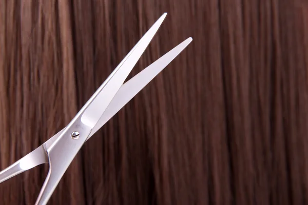 Длинные каштановые волосы с ножницами — стоковое фото