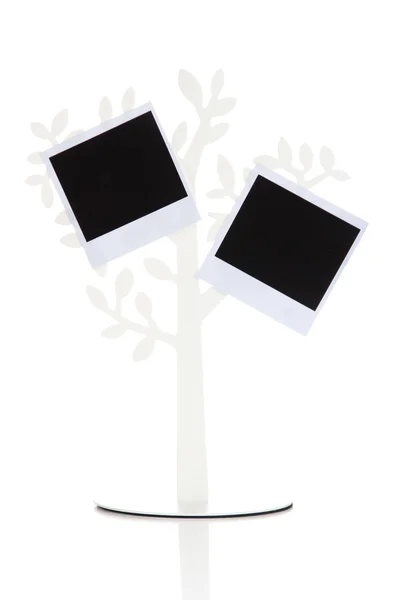 Holder in form of tree with instant photo cards isolated on white — Stock Photo, Image