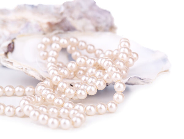 Shell with pearls, isolated on white