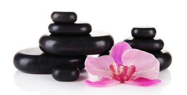 Beyaz üzerine izole spa taşları