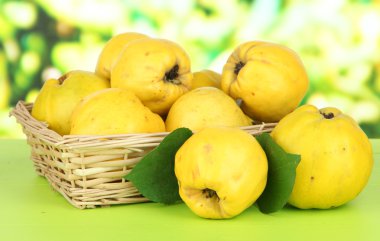 Sweet quinces in wicker basket on table on bright background clipart