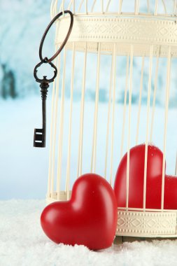 Kalpler kış zemin üzerine dekoratif kafes içinde