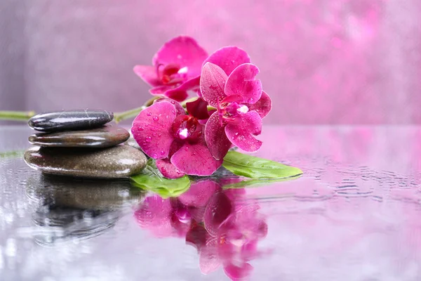 Composición con hermosa orquídea floreciente con gotas de agua y piedras de spa, sobre fondo de color claro — Foto de Stock