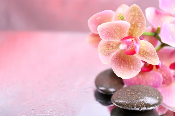 Samenstelling met prachtige bloeiende orchidee met waterdruppels en spa stenen, op lichte kleur achtergrond — Stockfoto