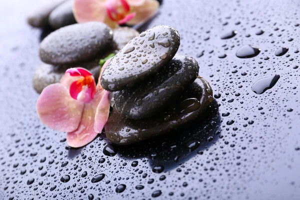 Composición con hermosa orquídea floreciente con gotas de agua y piedras de spa, sobre fondo gris claro — Foto de Stock