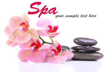 güzel çiçek açan orkide su damlaları ve üzerinde beyaz izole spa taşlar ile kompozisyon