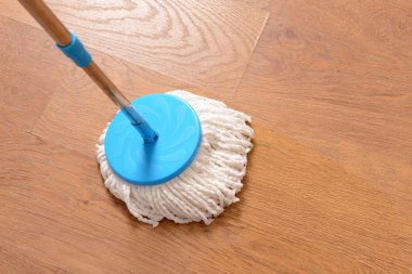 ev temizlik paspas ile